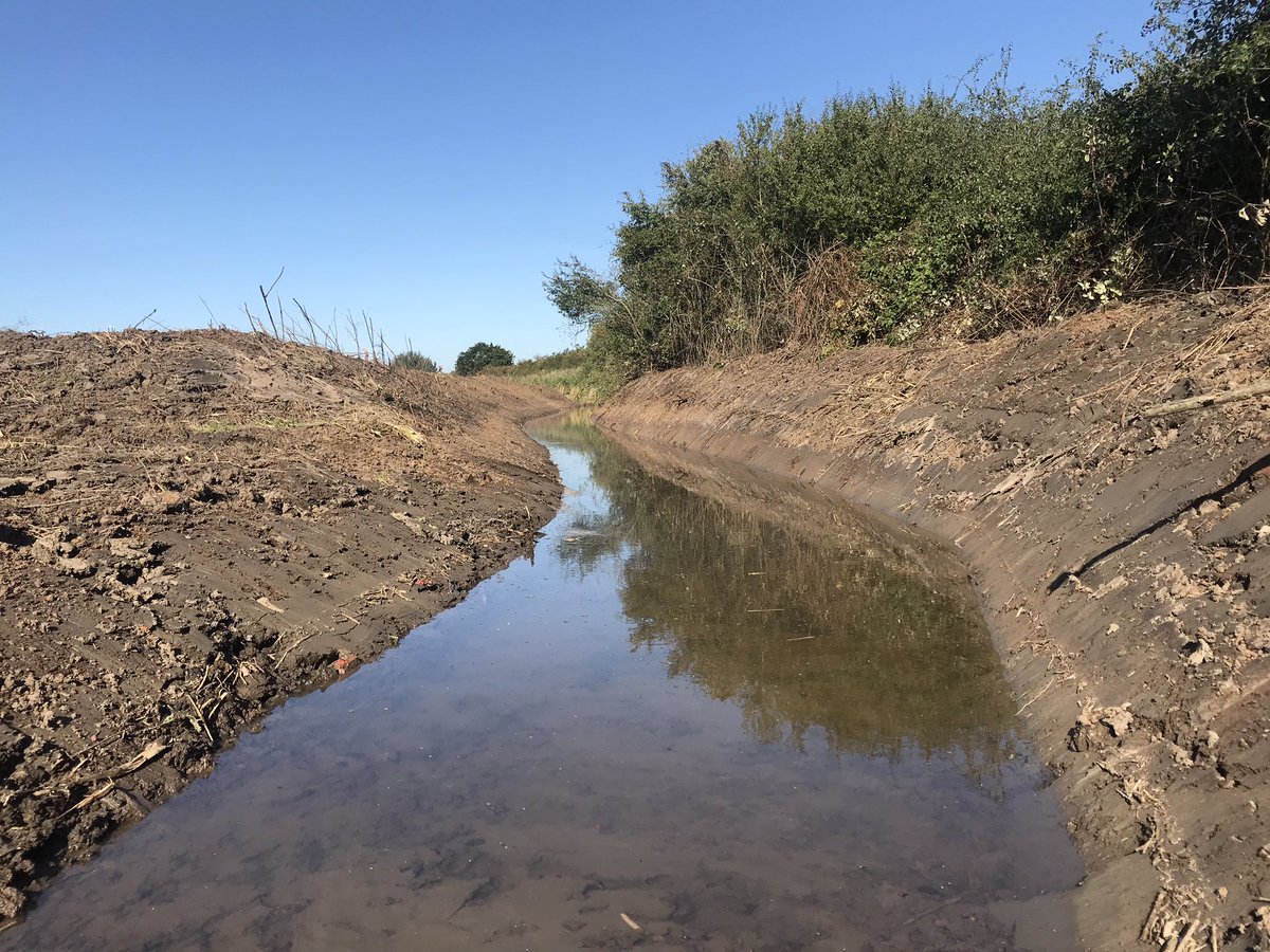 Wetland creation legends, Darren, Elvis and Jason. Works begin on grazing marsh restoration in west Norfolk. An enormous new and improved resource for waders, wildfowl and so much else.