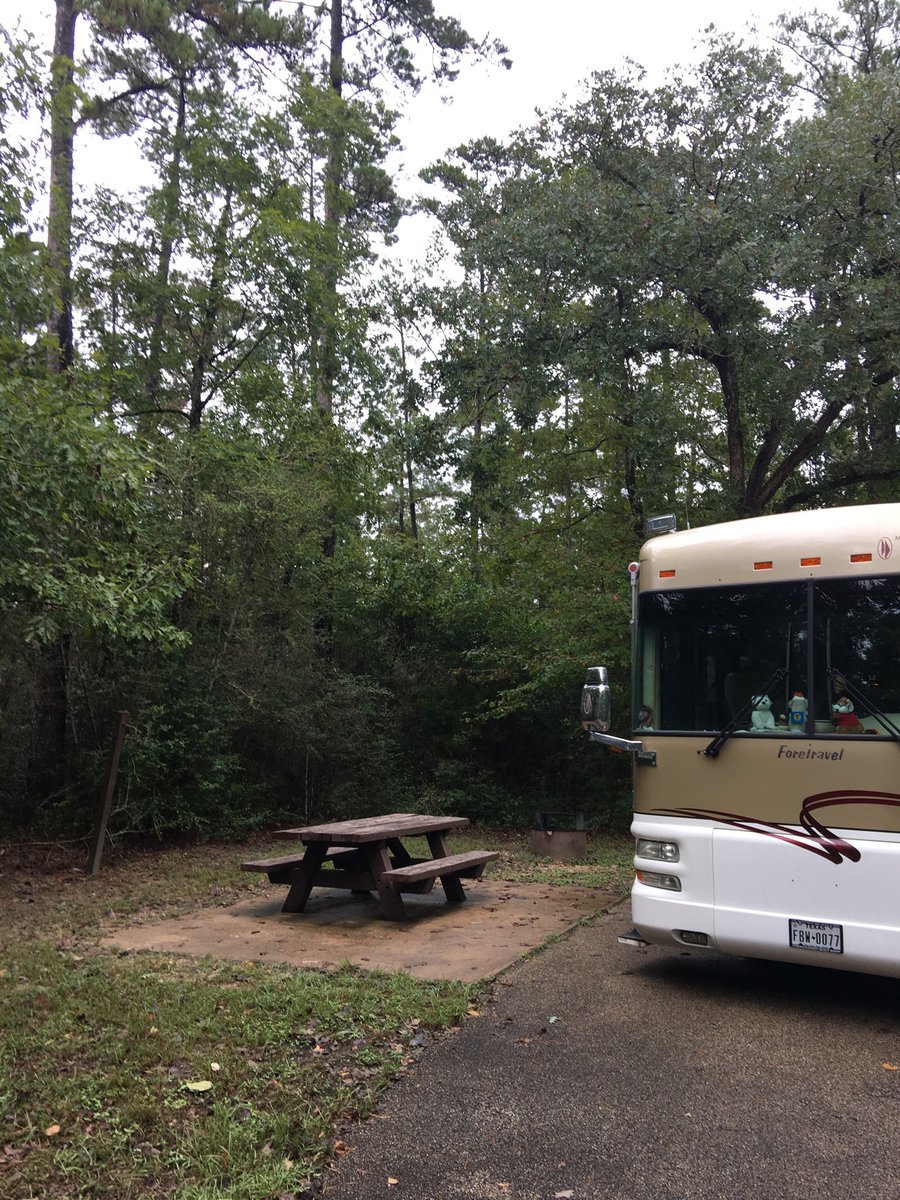 zeilisj's tweet photo. Our beautiful serene front yard for the next couple of weeks. Even though we are in the outer bands of rain from the tropical storm in South Texas. #DoubleLakeRecAreaTX #DannysAdventure #journeyofalifetime2 #quiltingtime https://t.co/OnMVMVVTa7
