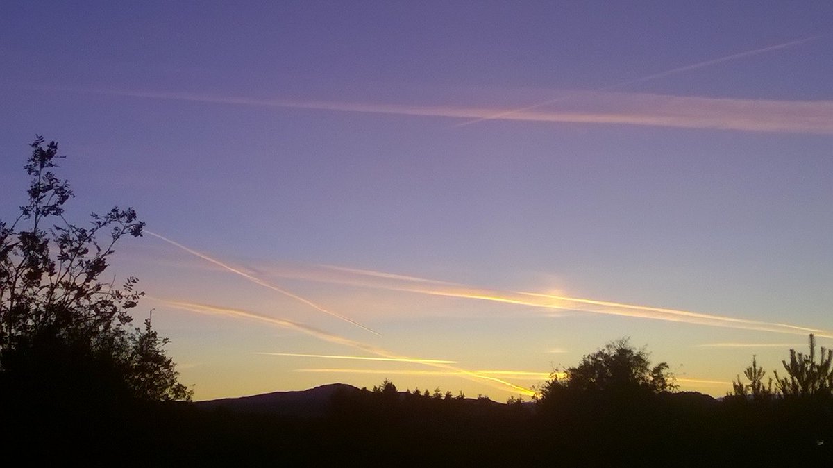 After days of rain, today it brightened - some sun. We should have had a glorious sunset... but this??? Plane trails, with modern fuel systems? @dbirch214 What is going on up there??