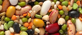 CUCINAPIEMONTES's tweet photo. Perché i #legumi sono così importanti nella alimentazione? Prima di tutto perché sono una buona fonte di proteine vegetali. https://t.co/3sbISd8ewA https://t.co/J2mHpkQW9G