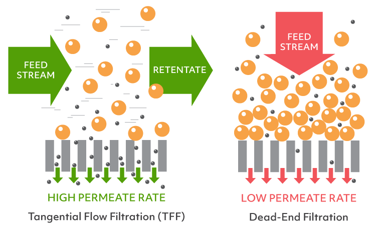 SolarisBiotech's tweet photo. Why use Tangential Flow Filtration? Find out... #TFF #bioprocessing #biotech #foodtech 

https://t.co/dPM3fDt07C https://t.co/Z56yrzvSKd