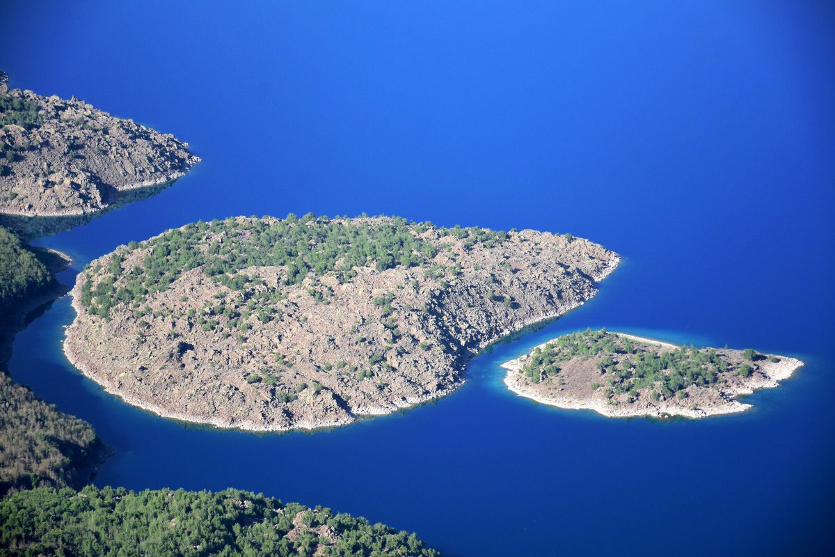 ibrahim Yaldız tweet media