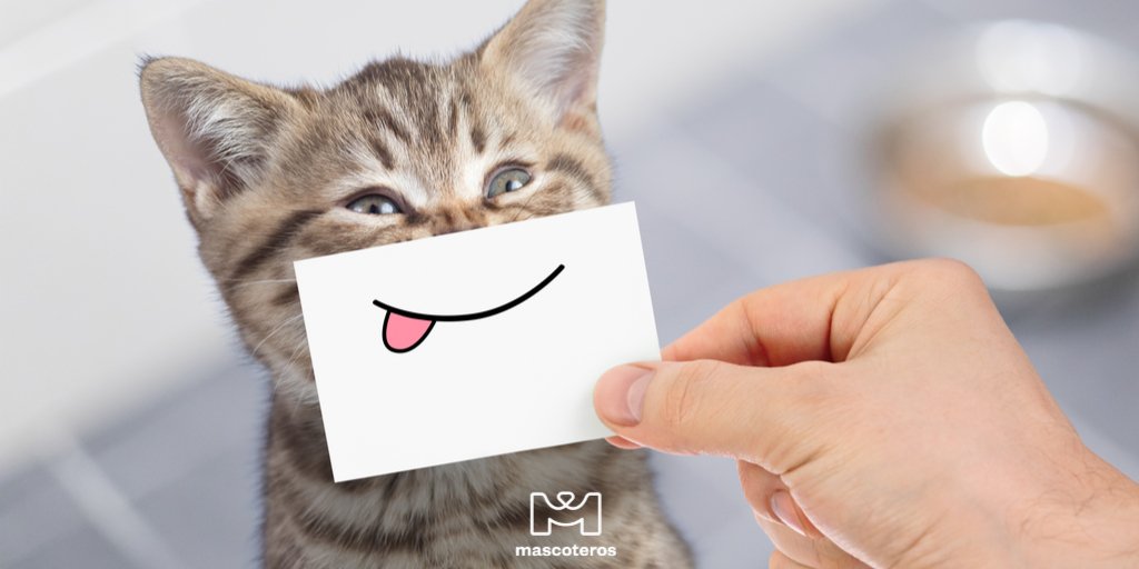 GrupoMascoteros's tweet photo. ❤️ Ellos son capaces de cambiar nuestro día ❤️
😀 ¿Qué hacen ellos para cambiar tu dia?
#relacionperfecta
.
.
#mascoteros #juntosmejor #petlovers #catlover #ilovemycat #cats #gatos #amorgatuno #instaofcats #catlovers #cat #gatuno #sonrisagatuna #petlover #lovingcats https://t.co/vPksvUiL56