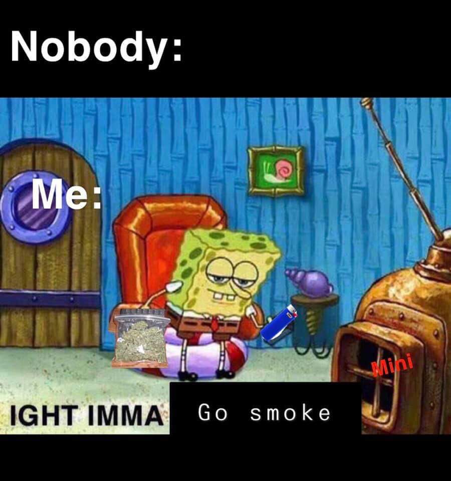 bombheadshop's tweet photo. Every 5 mins #infekt #mvrda #samplifire #cervantes #masterpiece #ballroom #STS9 #pushthesky #redrocks #BlockParty #ott #marvelyears #eprom #thriftworks #daftpunk #yourmomshouse #quinnxcii #3lau #partyfavor #milehighspirits #crowdsurf #noswet https://t.co/bKwOIHqwsa