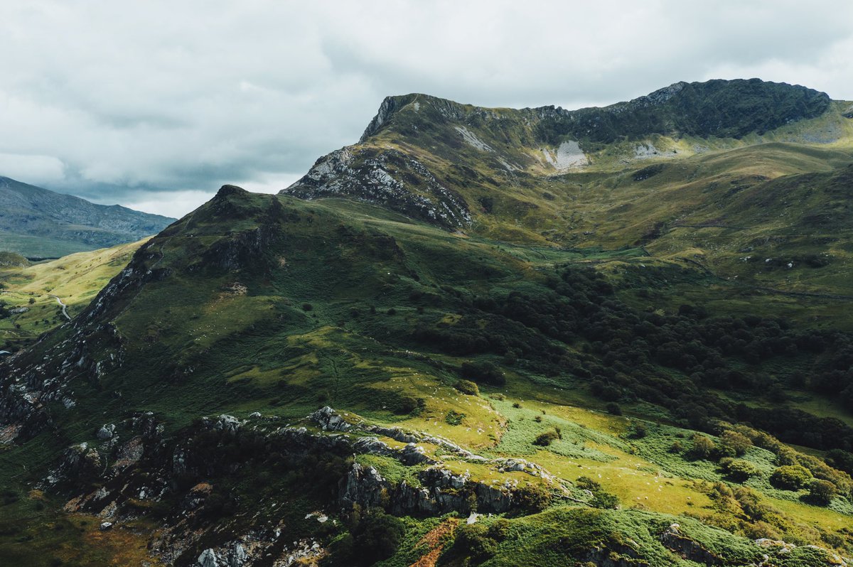 Daniel Casson tweet media