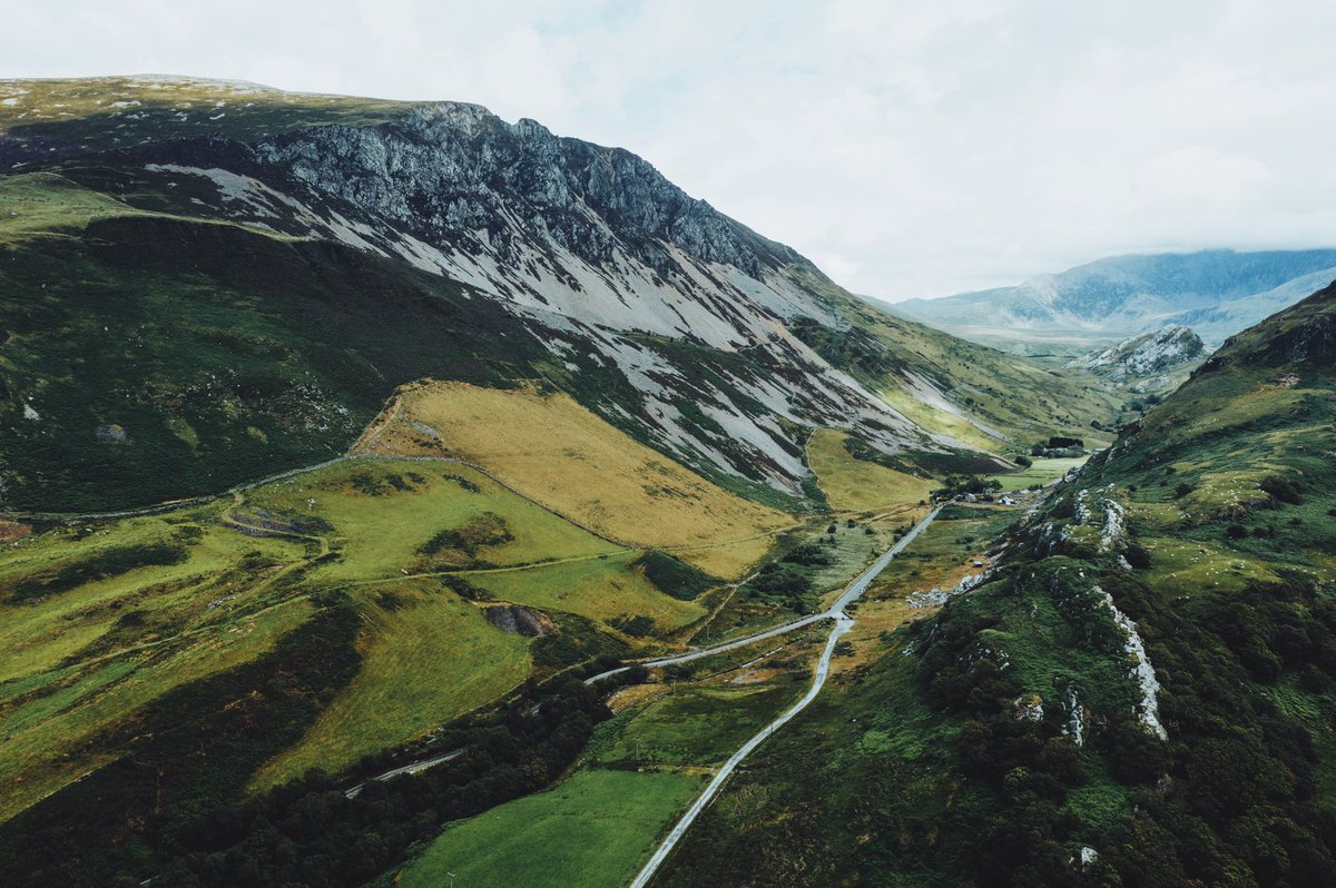 Daniel Casson tweet media