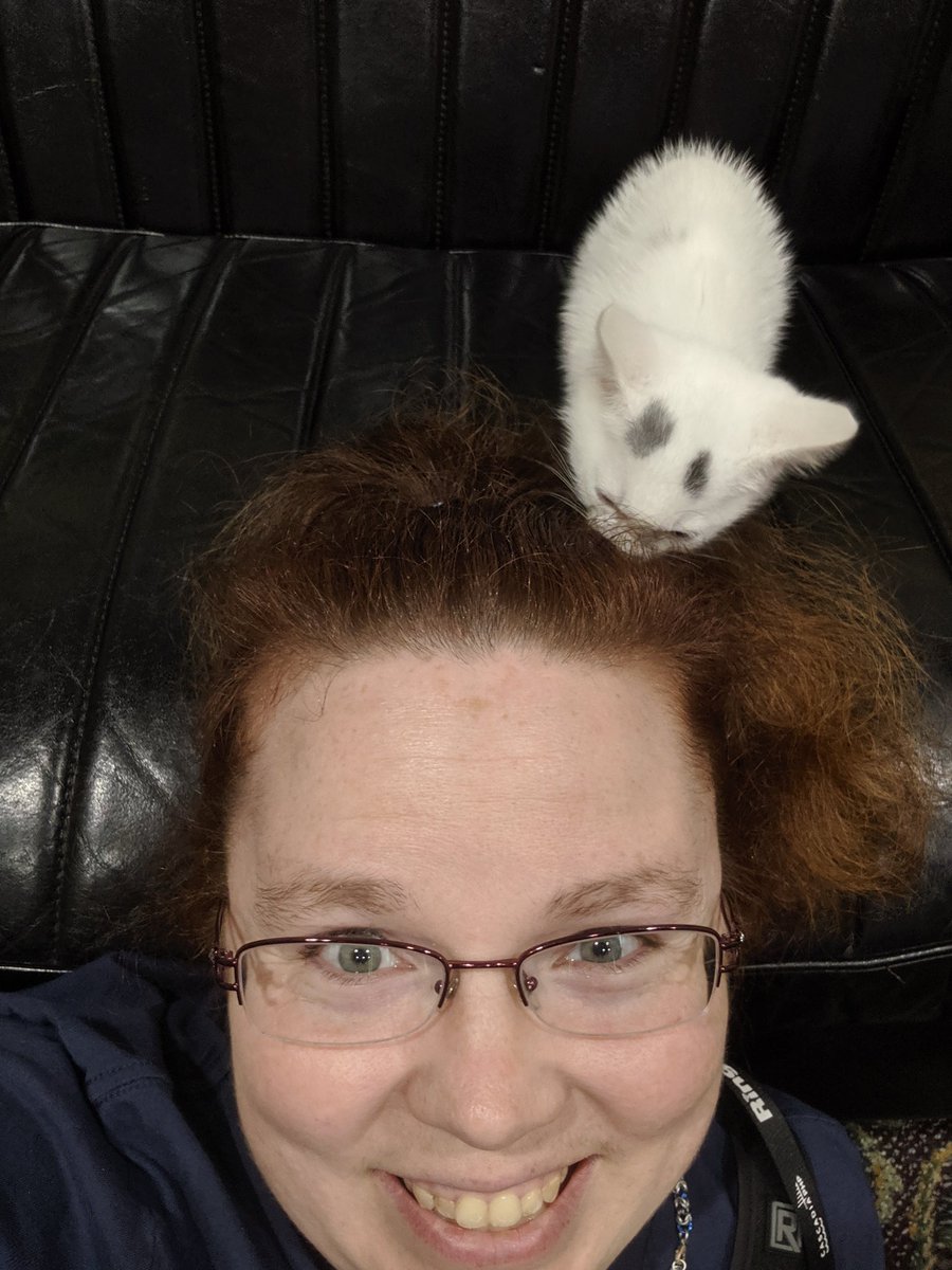 MelindaServen's tweet image. Cats of @CascadiaPHP #CascadiaPHP2019