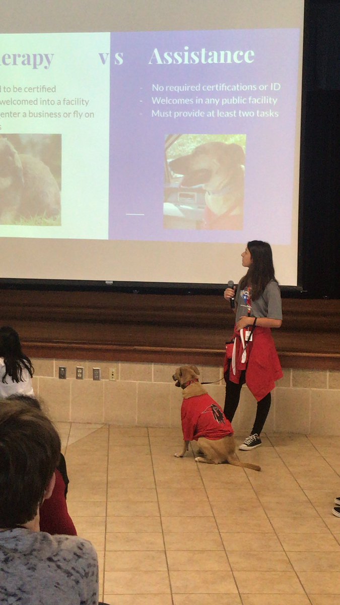 A big thank you to Autumn for presenting to our GT students about service animas today.