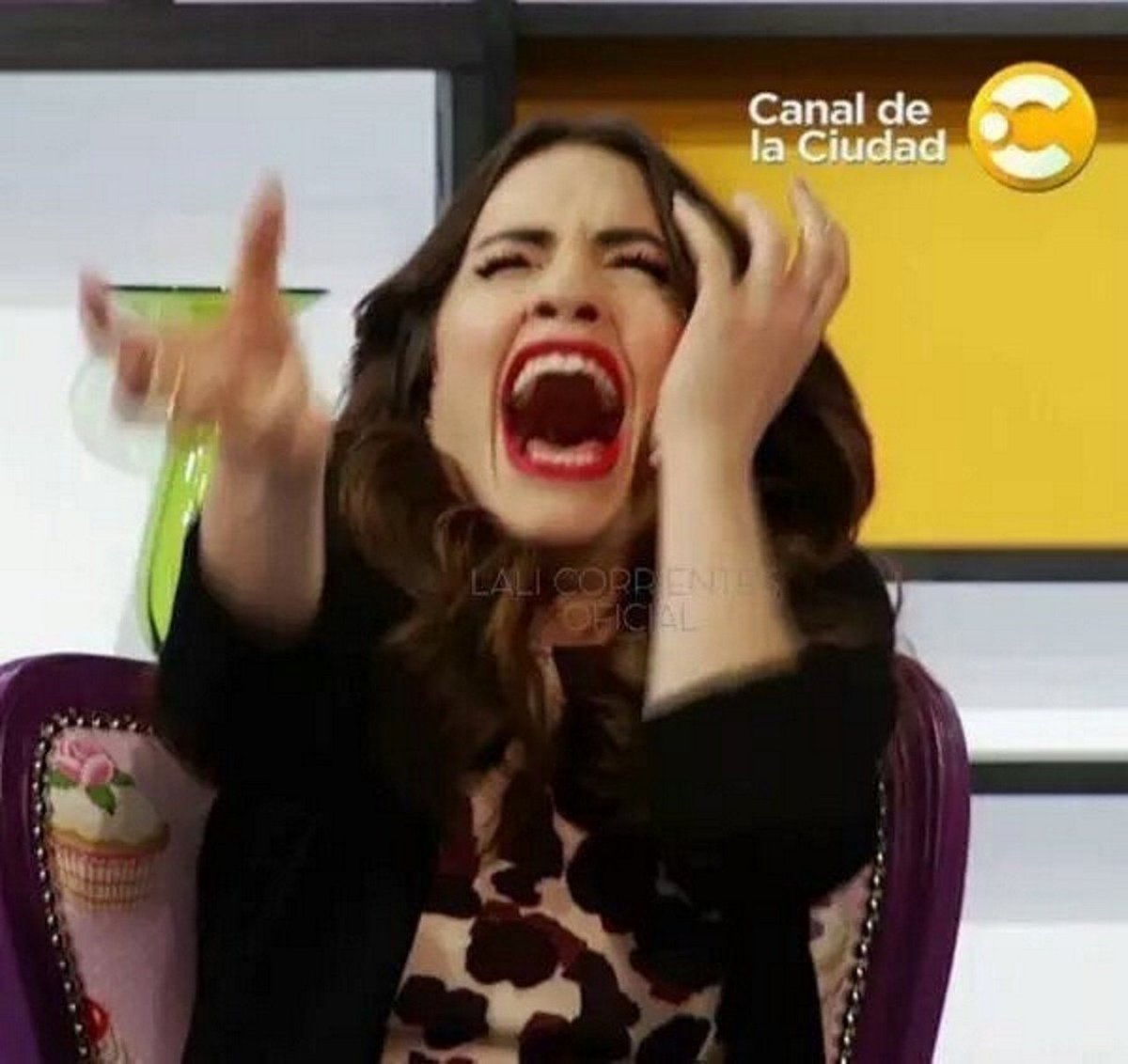 EquipoLalita's tweet photo. 🚨 VUELVE LALI ACTRIZ 🚨
será la protagonista de la serie El fin del amor, producida por MGM International. La ficción estará basada en el libro de Tamara Tenembaum: El fin del amor: querer y coger, que explora los desafíos de los millennials en materia de amor y sexo. https://t.co/h6UotI9CVK