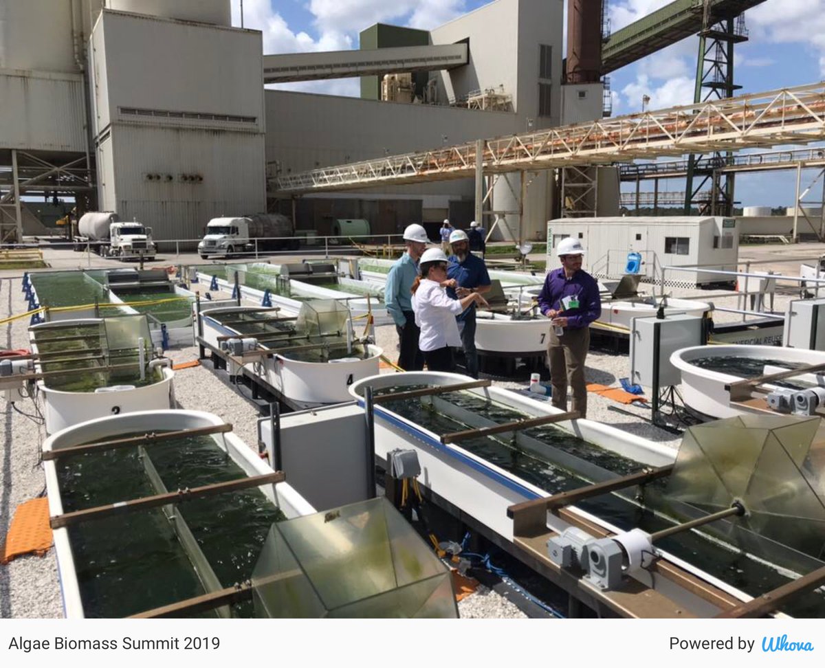Phycore's tweet photo. Carbon capture tour #algae2019 #algae2019 via Whova event app https://t.co/35dTLfyxbw https://t.co/Ud4nlU7mvr