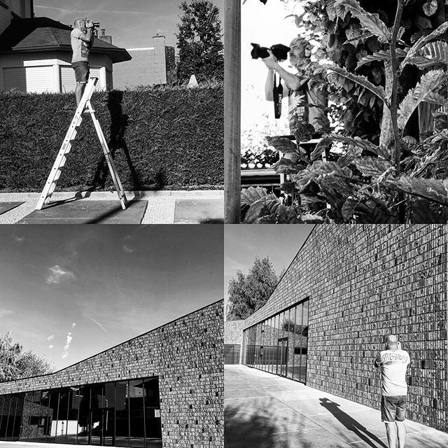 Lenzer.be tweet media