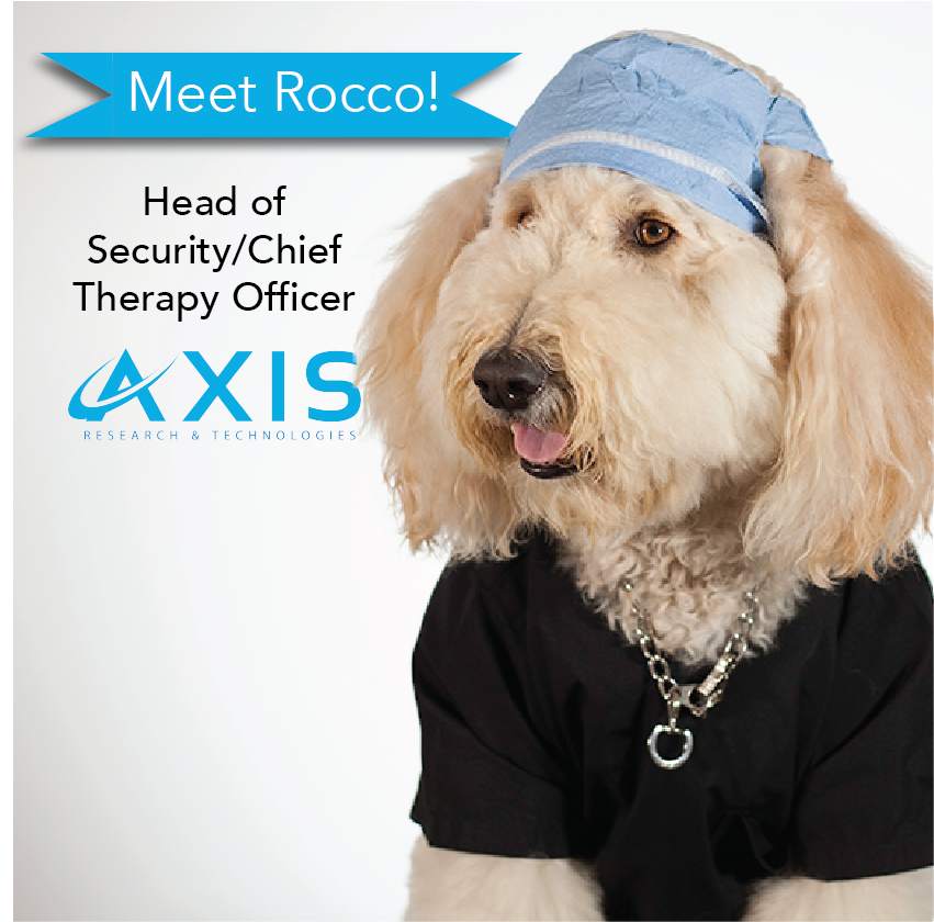 Axis_RT's tweet photo. There's no funny business when Rocco is around.
.
.
#axisrt #wetlab #cadaverlab #bioskillslab #medicaldevicecompaies #bestlabincalifornia
#bestlabontheeastcoast #bestlabonthewestcoast #medicaldevicetraining
#surgeontraining #medicaled #eventspace #goldendoodle #dogsoftwitter https://t.co/1Zfz9fY0y2