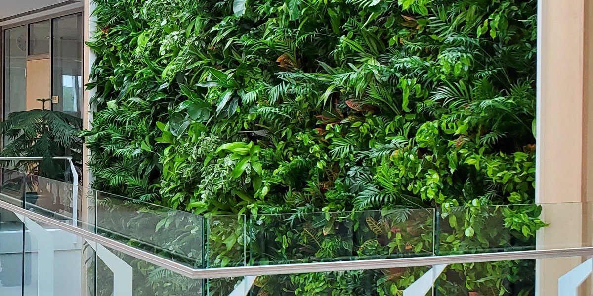 Nedlaw Living Walls tweet media