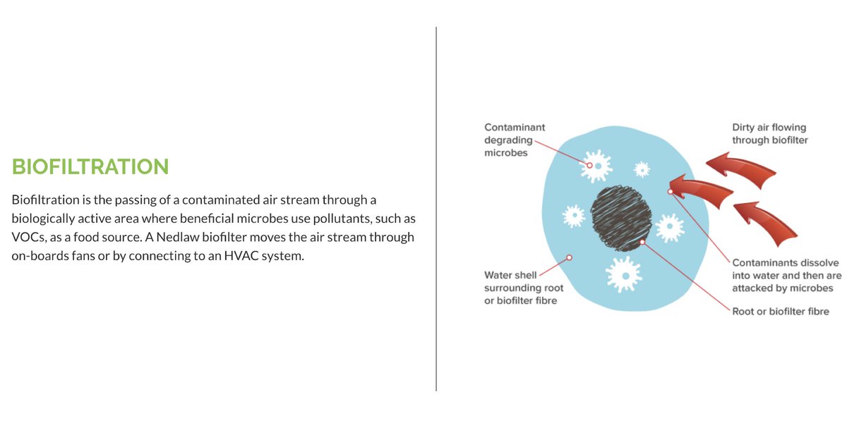 Nedlaw Living Walls tweet media