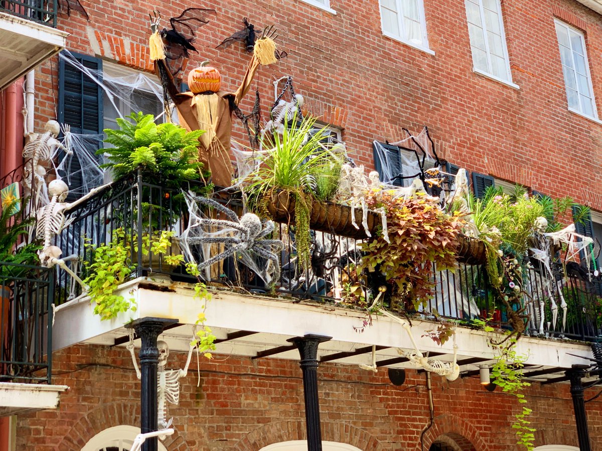 DavidMora's tweet image. They’re here! First sign of Halloween decorations in the French Quarter. 

Informal poll – Is it too early for Halloween decor? Tweet back yes or no. 

🎃👻🔮💀🕸 
#BooYall #NewOrleans