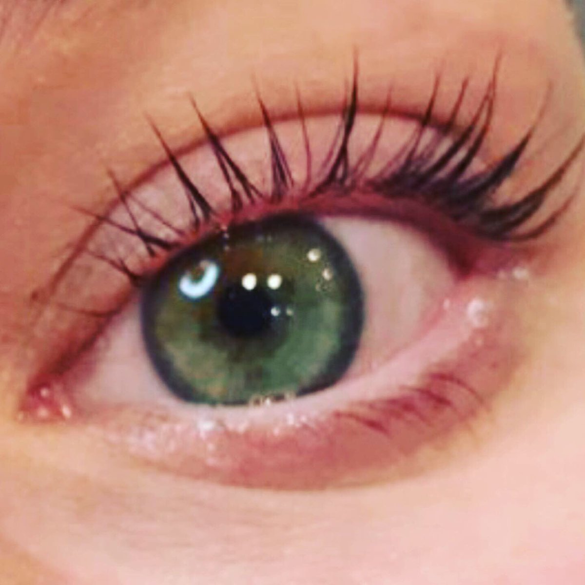 171Salon's tweet photo. Time to throw away your mascara...hello @NouveauLashesUK #LVL In one hour we can transform your eyes. Book an appointment today. #islington https://t.co/kHgkFpx2Qx