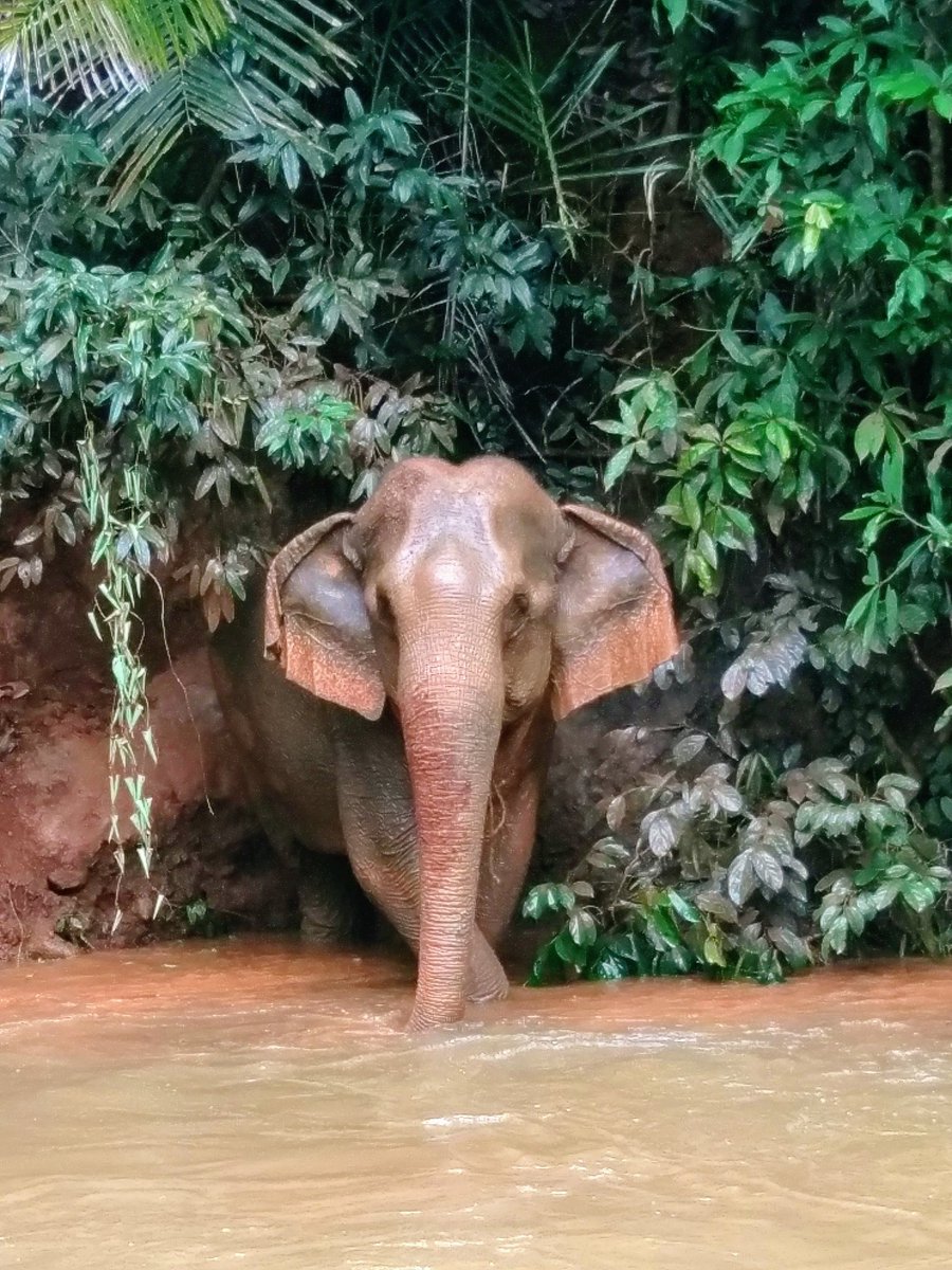 AliWorld_Ch's tweet image. Such a lovely evening @Dunelmia launching World Challenge 2021. Thanks for having me along to talk about #Vietnam and #Cambodia.  @weareworldchall