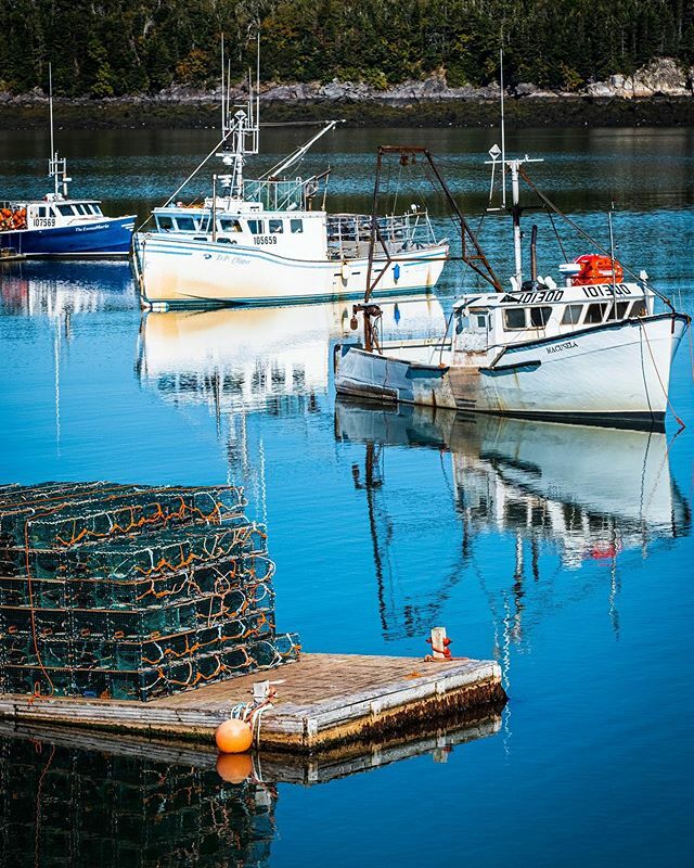 Dipper Harbour Wharf, Saint John, New Brunswick, Canada.
.
#harbour #canada #sunnyday #wharf #lobsterfishery #lobsterpots #boat #fisherman #easternseaboard #boats #blueskies #fujifilmxh1 #xf80mm #repostmyfujifilm #fujifilm_xseries ift.tt/2O9rmo8