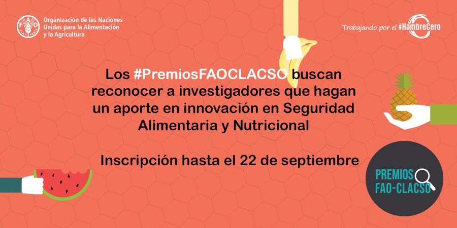 Gobernanza en políticas y acciones públicas de SAN es uno de los ámbitos de investigación de los #PremiosFAOCLACSO, participa hasta el 22 de septiembre.

Revisa las bases aquí: bit.ly/faoclacso19