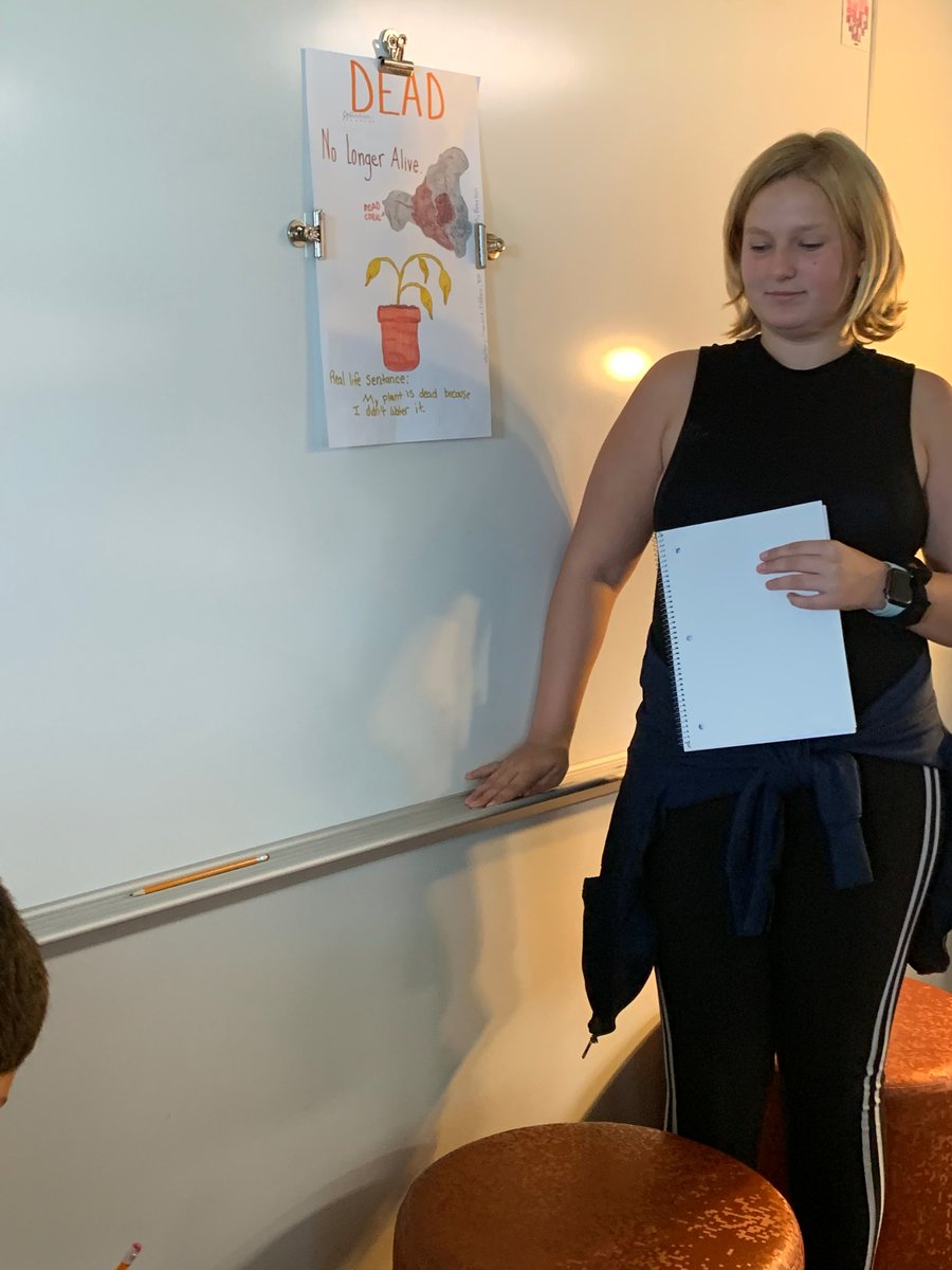 MLProjecti's tweet photo. Today in Science, students of all shapes and sizes presented and learned from each other's life and wave-themed posters! https://t.co/eYmykzbP8e