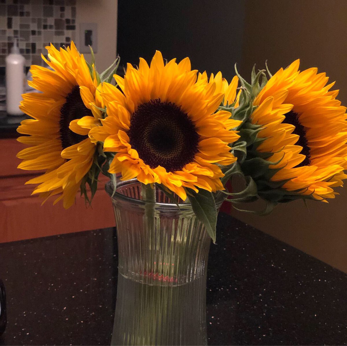 YellowDoorBlog's tweet photo. A snippet of my latest piece that  I dropped last Friday titled, “His Sunflower” is up on IG  [at]theyellowdoorblog. 

It’s been incredible seeing myself bloom on and off stage. 

“I am a Sunflower. I am CharleiSmiles.”💕🌻☀️

#OpenTheYellowDoor #TheYellowDoorBlog #CharleiSmiles https://t.co/LAtT8zSlNC
