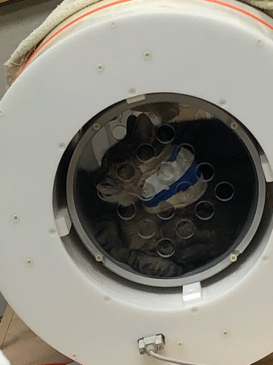 OleanderMedical's tweet photo. Started Companion Animal Pilot Safety Trial! #oncology #veterinary https://t.co/ElbLZZIRjE