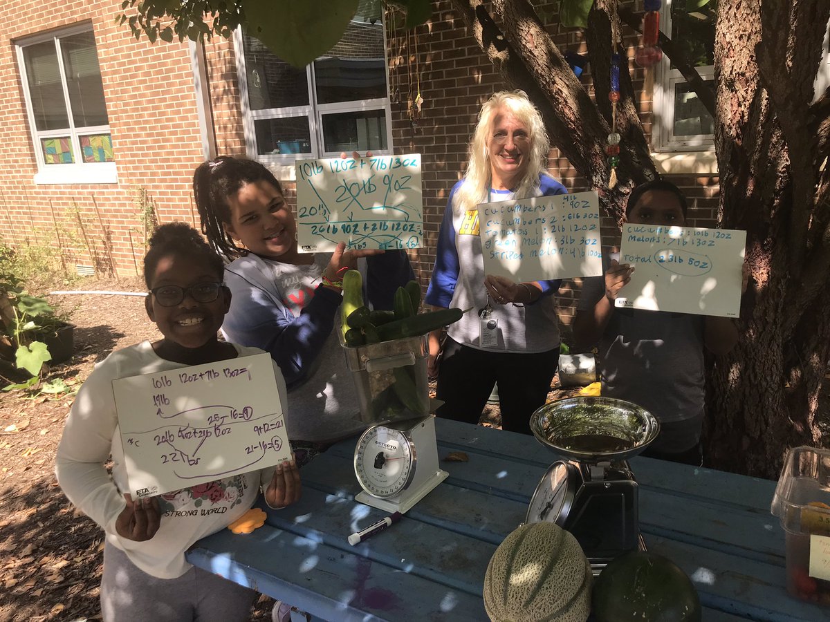 Hollin Meadows Garden tweet media