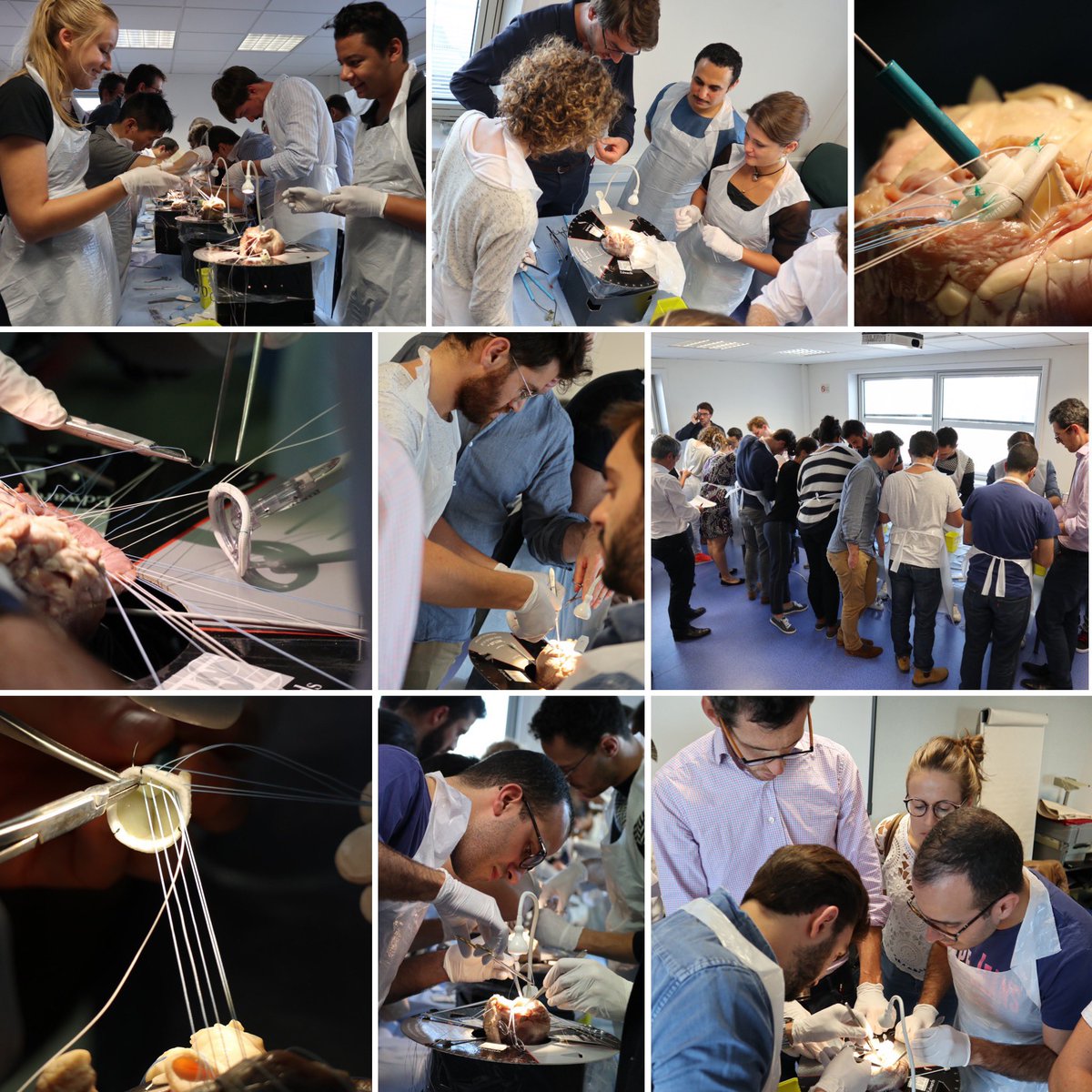 Wetlabtraining's tweet photo. We’ve had a very busy day today! Our team has been working on three Wetlabs. 

Pitié-Salpêtrière Hospital in Paris,
Narbonne, France
and The SCTS Birmingham Review! https://t.co/pB1ou7CP45