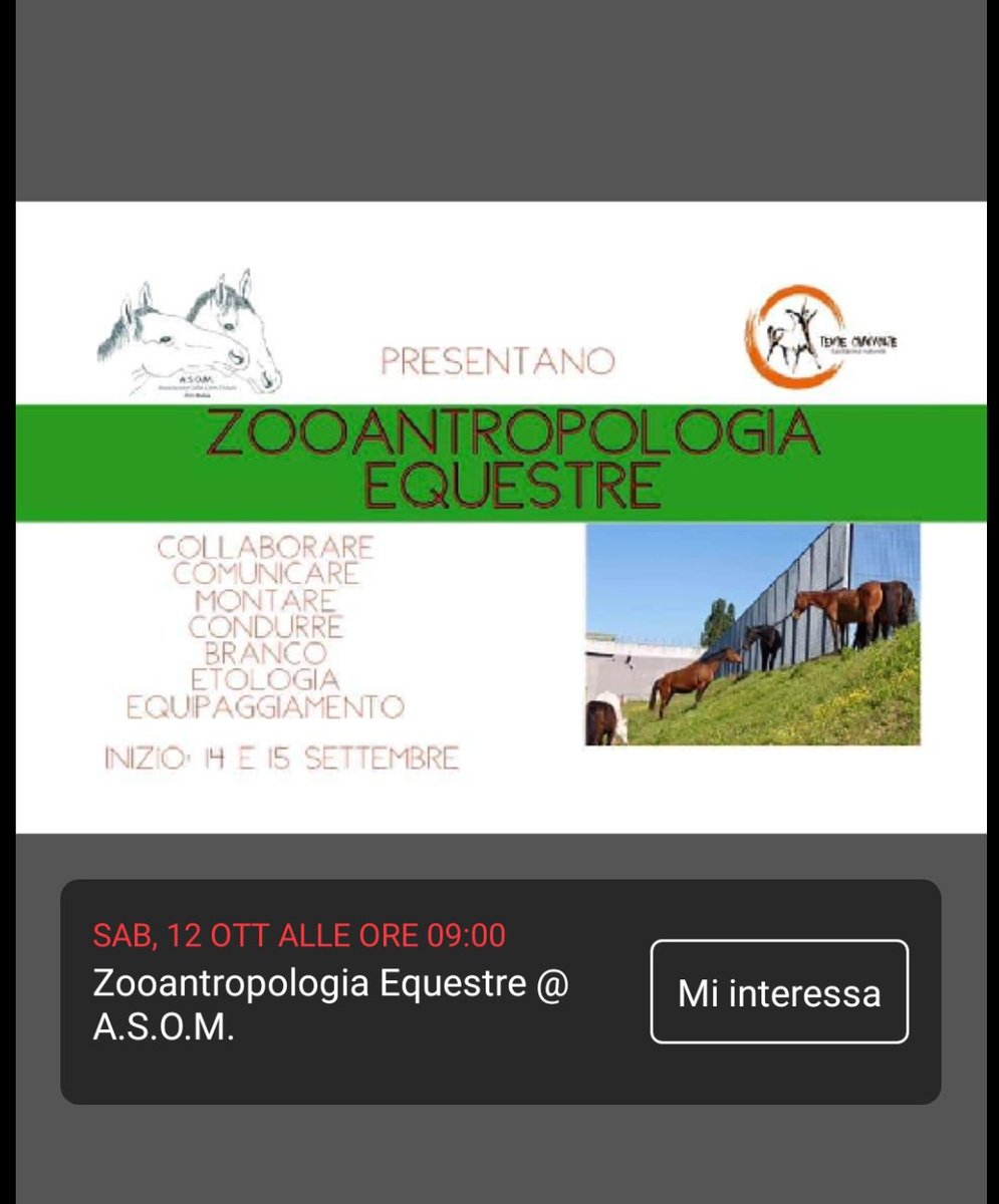 AsomBollate's tweet photo. 📍 Associazione Salto Oltre il Muro
🗓️ 12 e 13 ottobre https://t.co/CVAzfCU04S