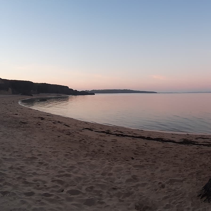 Nikki Dunphy tweet media