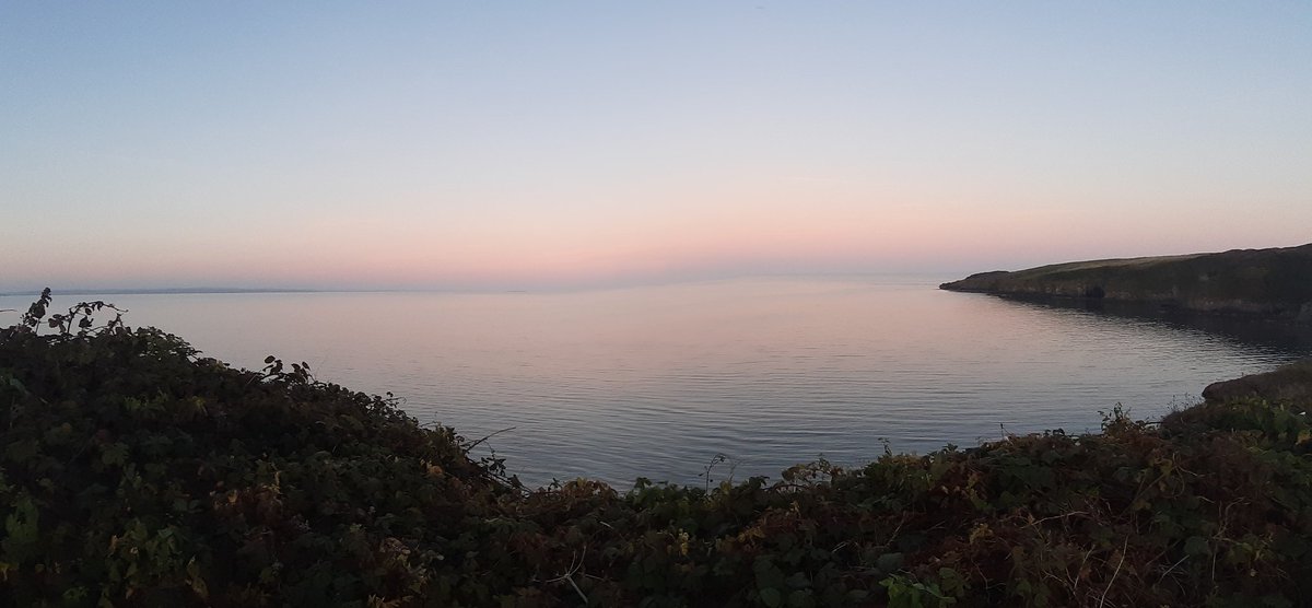 Nikki Dunphy tweet media