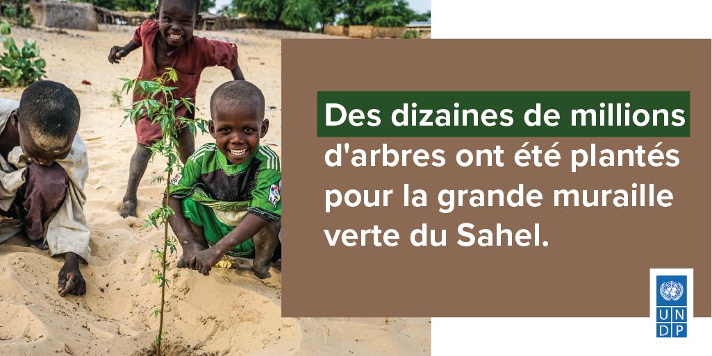 pnudfr's tweet image. Pour célébrer la journée de lutte contre la #désertification et la #sécheresse, tournons-nous vers le #Sahel.
Trop souvent perçu comme 'région à risque', le Sahel a pourtant tous les atouts pour devenir une terre d'opportunités 👉feature.undp.org/sahel/fr.html?… @UNCCD @ONU_fr