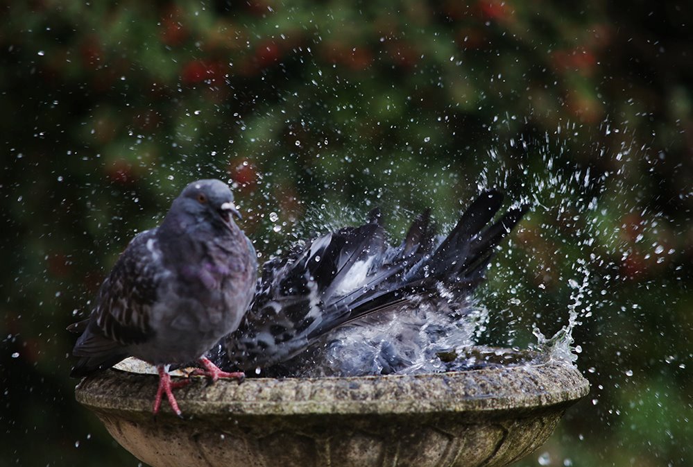 MT Lewis Outing @LewisOuting
'I've warned you before about splashing in the bath” #Yorkshire