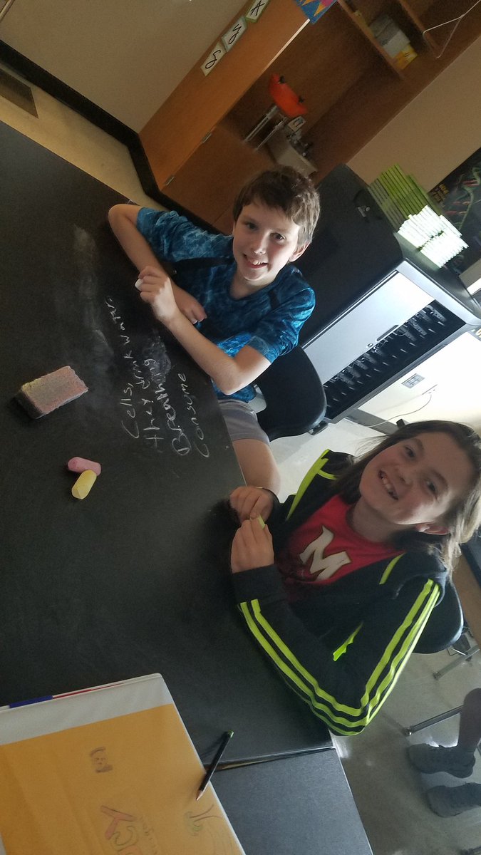 Mams_7Gold's tweet photo. Who said you can't write on desks in school? These students are compiling a list of properties of life using chalk on the black tabletops. #sciencefun https://t.co/Ql24mNtYY6