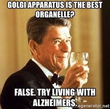 DonSwedish's tweet photo. @golgi_bodyyy https://t.co/Emefc9O031