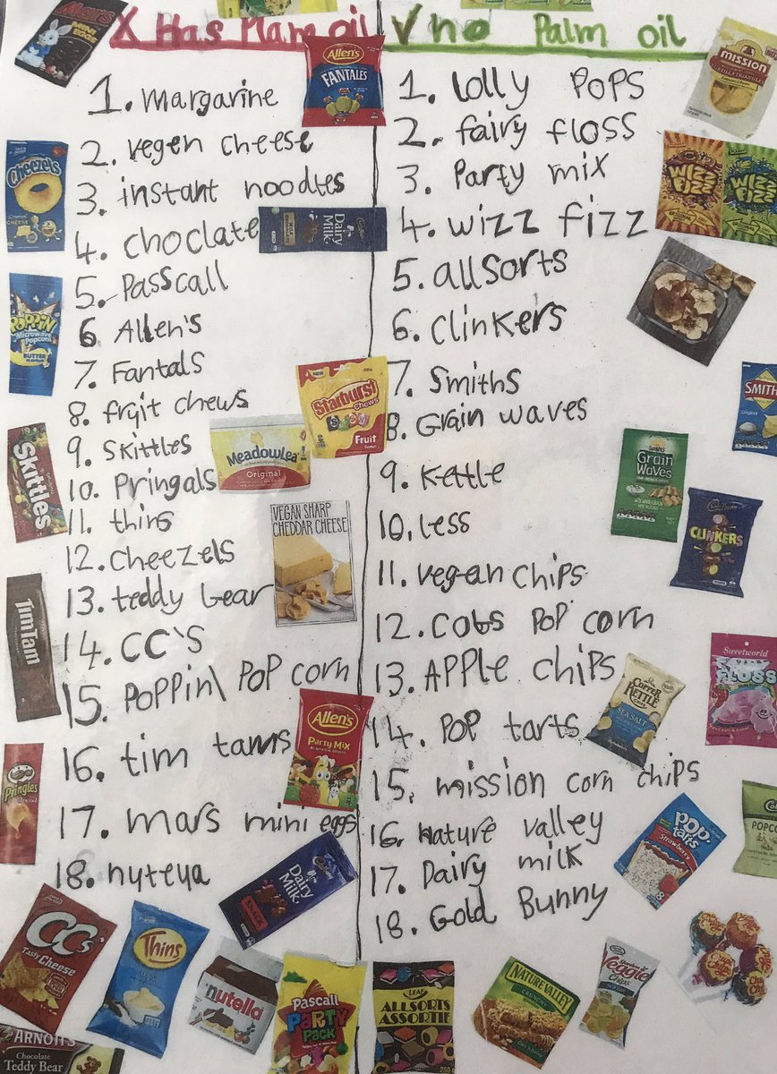 A fantastic action completed by some of our year 3 students as part of their inquiry into palm oil. They have put posters around our school to inform our school community. #inquiry #action #inquirycycle #sustainability @kjinquiry