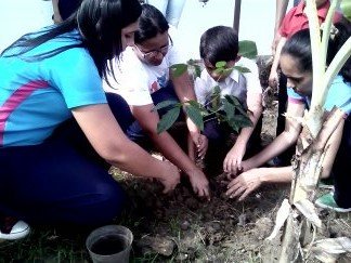 FMA APURE REALIZO GRAN JORNADA NACIONAL, UN ARAGUANEY POR LA PAZ Y LA SOBERANÍA, EN LA E.P RAFAEL URDANETA , MUNICIPIO SAN FERNANDO, JUNTO A PROFESORES Y NIÑOS DE DICHA INSTITUCIÓN. +ARBOLES+VIDA+FUTURO🌎🌿🍃🌾🌿