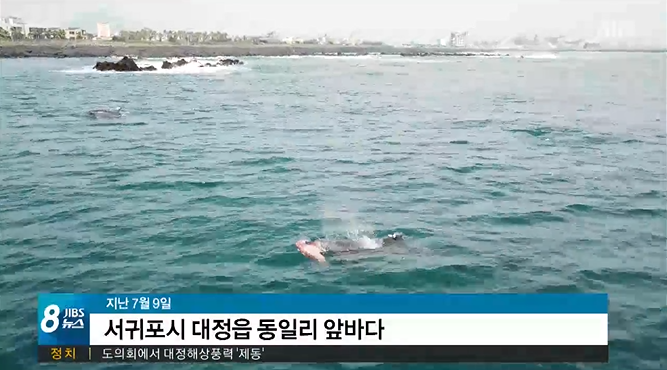 hotpinkdolphins's tweet photo. 제주 남방큰돌고래가 자주 보이는 해상인 대정읍 동일리 앞바다에 국내 최대 규모의 해상 풍력단지가 추진되고 있습니다. 지역주민과 환경단체의 반발이 만만치 않아서 결국 도의회에서 제동이 걸렸습니다. 

관련 기사와 동영상 https://t.co/hwDX4F4GUV https://t.co/R87TGhU3ON