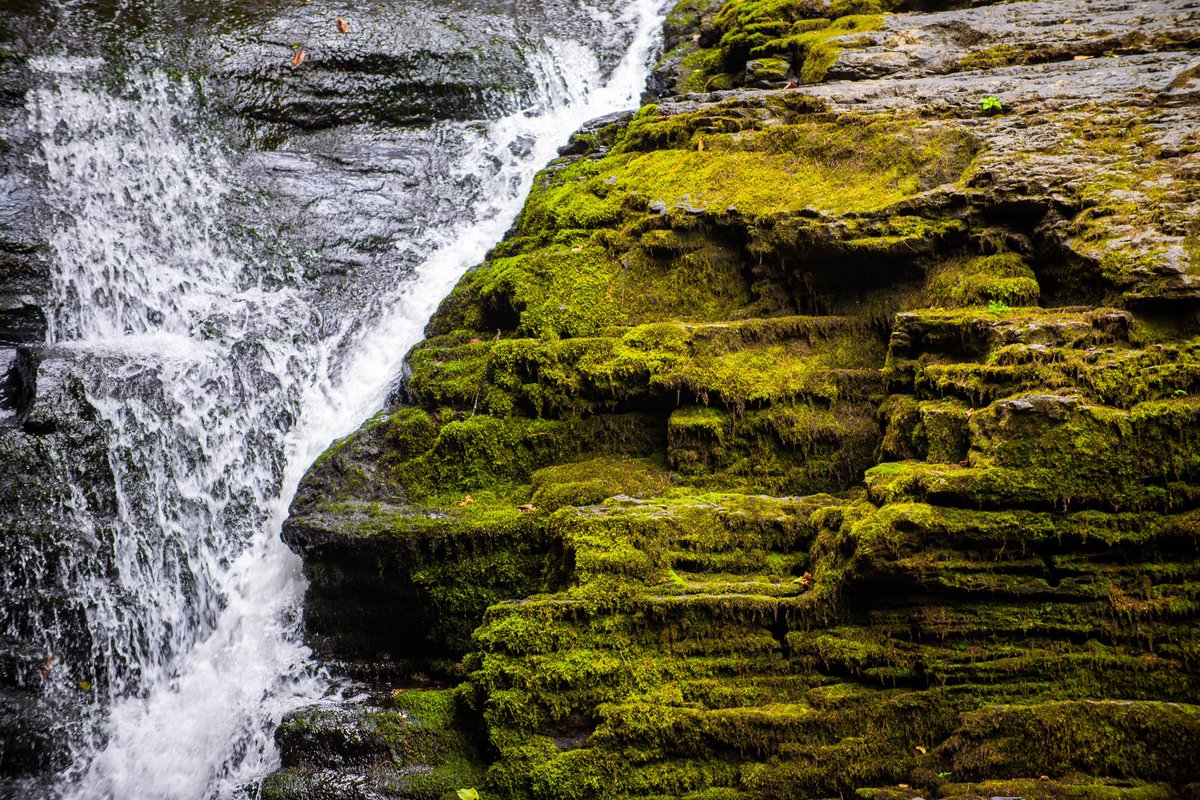 ChrisRiefPhoto's tweet photo. #DingmansFalls ๐ง โฃ
๐ @DelWaterGapNPS #DelawareWaterGap #FindYourPark #FindYourGap @NP_Geek #NationalParkGeek #AdventureOn @NatlParkService https://t.co/BU1TQ2MCYm