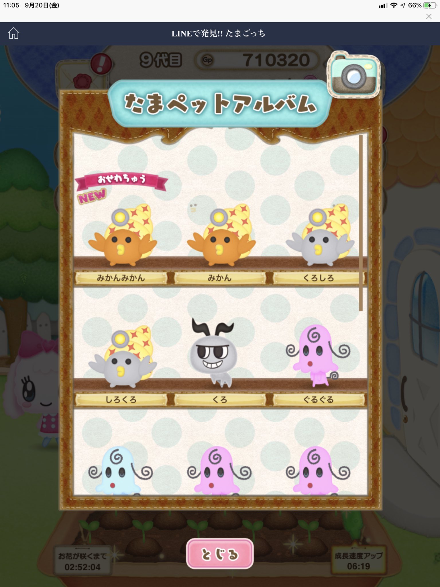 Saki Lineたまごっち 名前のセンス たまペット自慢大会 Lineで発見たまごっち T Co Fgaqxs5pva Twitter Saki Lineたまごっち 名前のセンス たまペット自慢大会 Lineで発見たまごっち T Co Fgaqxs5pva Twitter