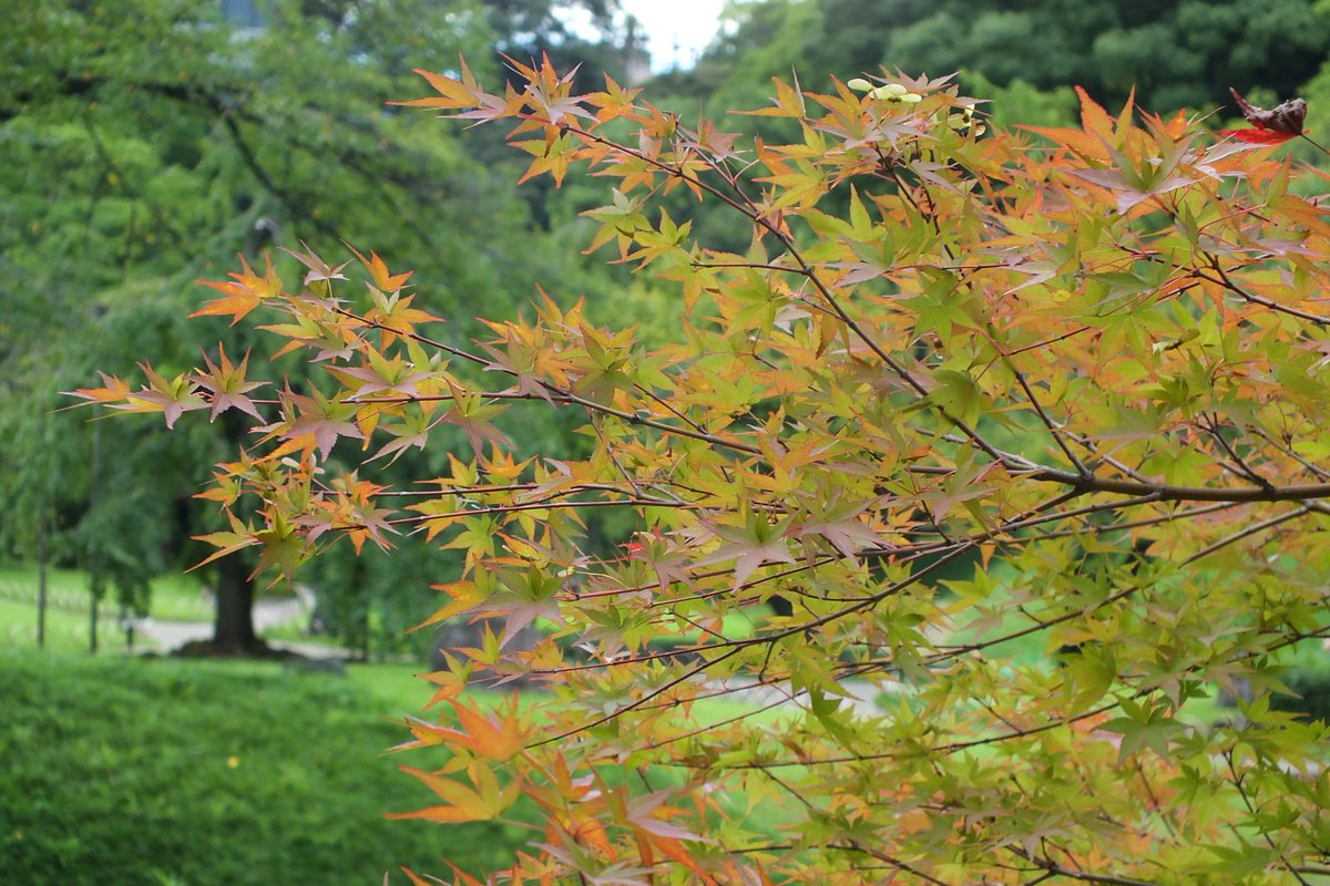 今日も素敵な一日になりますように～ｗｗｗ🥰