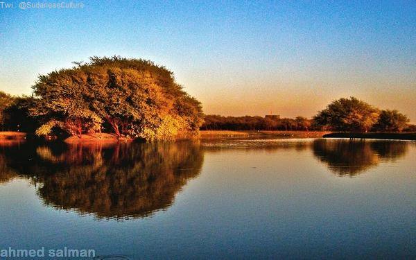 SudaneseCulture's tweet photo. Al-Sunut Forest, Khartoum, Sudan
#SudaneseCulture 

 غابة السُنط, الخرطوم, السودان
 #ثقافة_سودانية https://t.co/0q3hbADGG9