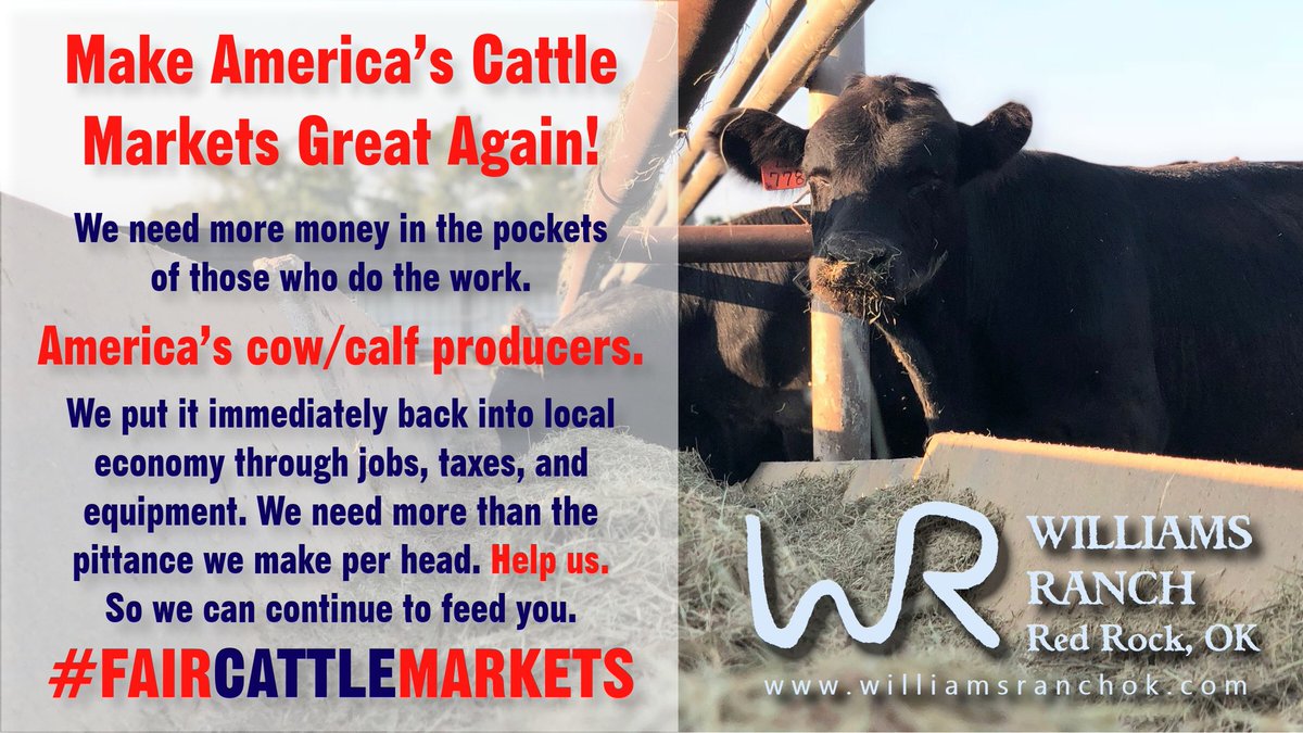 cattlegrazer's tweet image. @realDonaldTrump Let’s make “Rural America Great Again”! #FairCattleMarkets