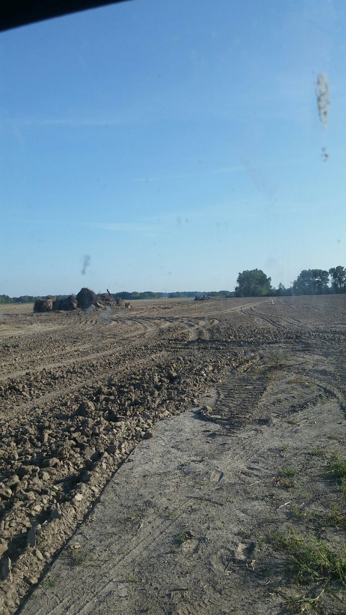 probstjake5's tweet image. Tree line is finally gone.