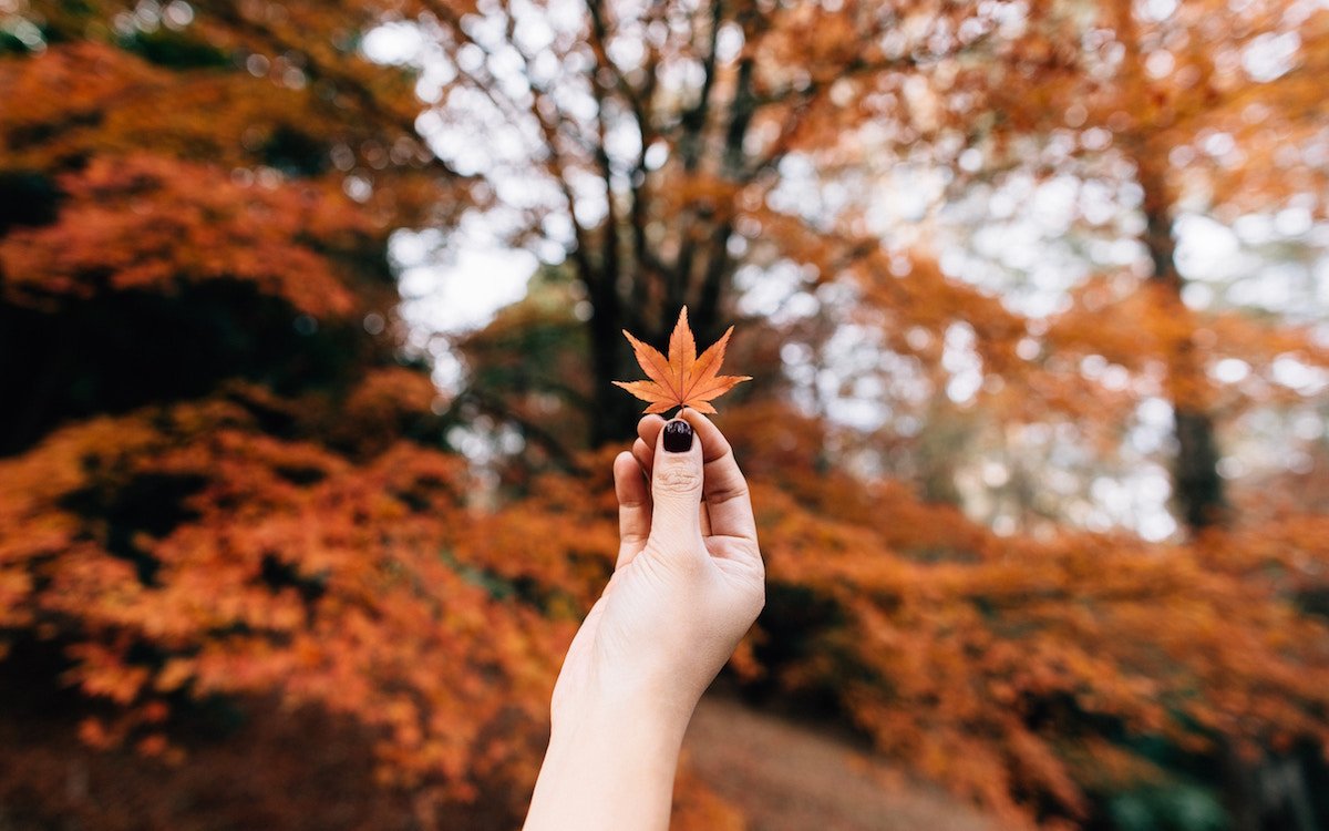bthetravelbrand's tweet photo. Disfruta del nuevo color de esta estación.🍂 #QuotesB https://t.co/Mopzl4Oga3