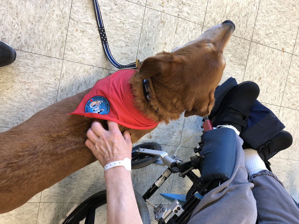 Olliemutt's tweet photo. Oliver with his pals on D-2 Tewksbury State Hospital. Oliver loves making friends, getting belly rubs, πΎπΎ& giving kisses π
#therapydog_international #therapydog
#Tailsnsails #therapydogsInt @TheEllenShow https://t.co/sNgxSgxhFP
