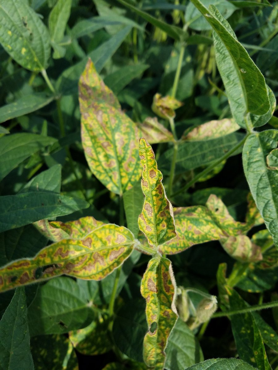 Andy Bartlow tweet media