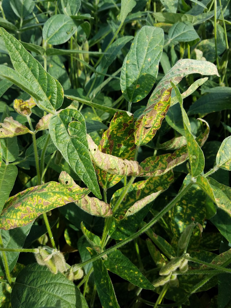 Andy Bartlow tweet media