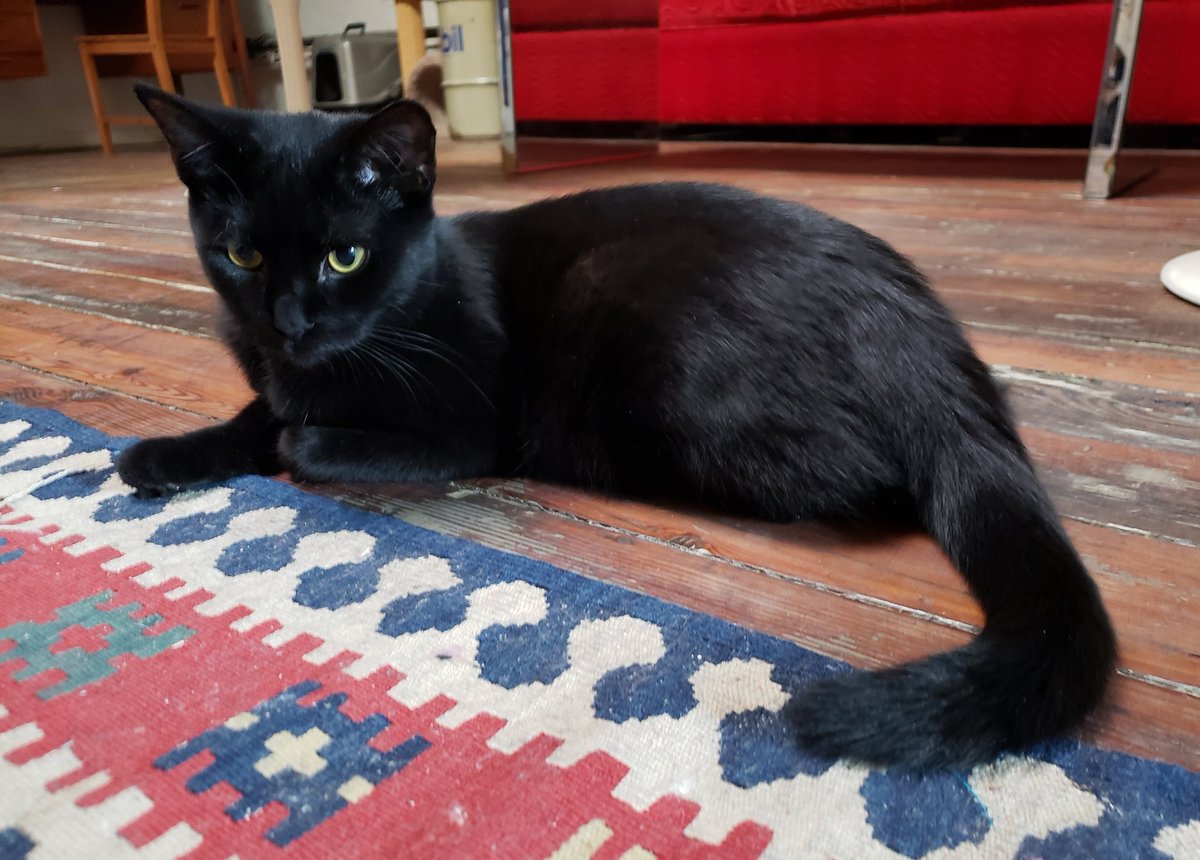 ~*~* glamour shot *~*~