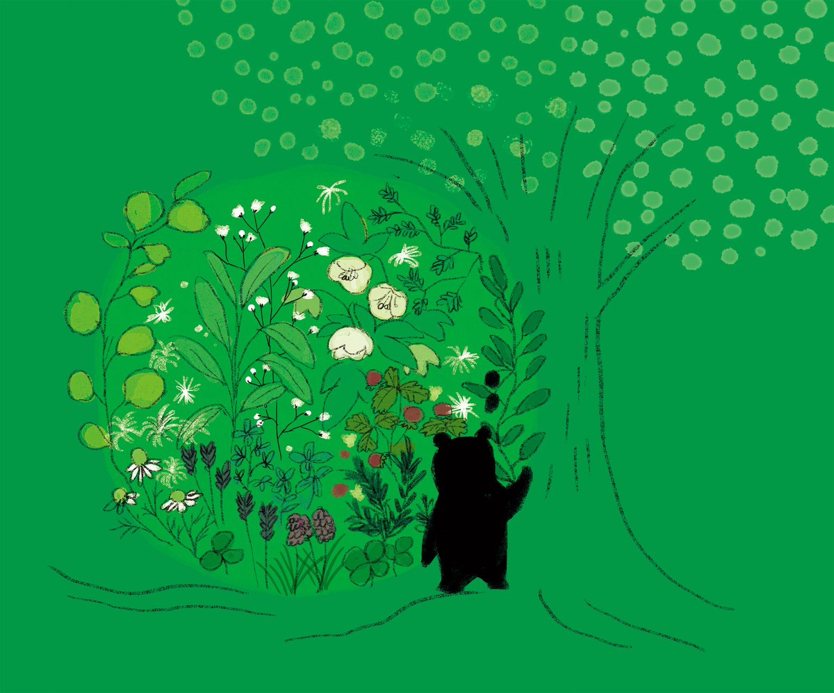 待ち受け壁紙作りました よかったらお使いください T Co ももろ 絵本作家 Illustrator 絵本 おうちジャングル 講談社 発売のイラスト